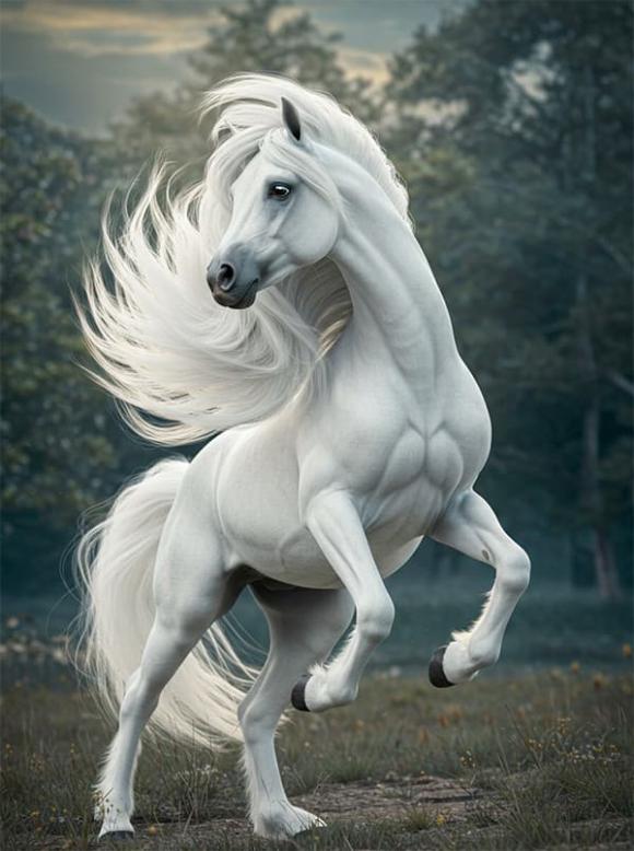 Tử vi, con giáp, tử vi hàng ngày, tử vi ngày 12/12/2025