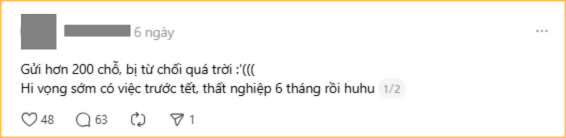 Rải CV 200 chỗ vẫn thất nghiệp, tính nghỉ Tết luôn cho rồi- Ảnh 2.