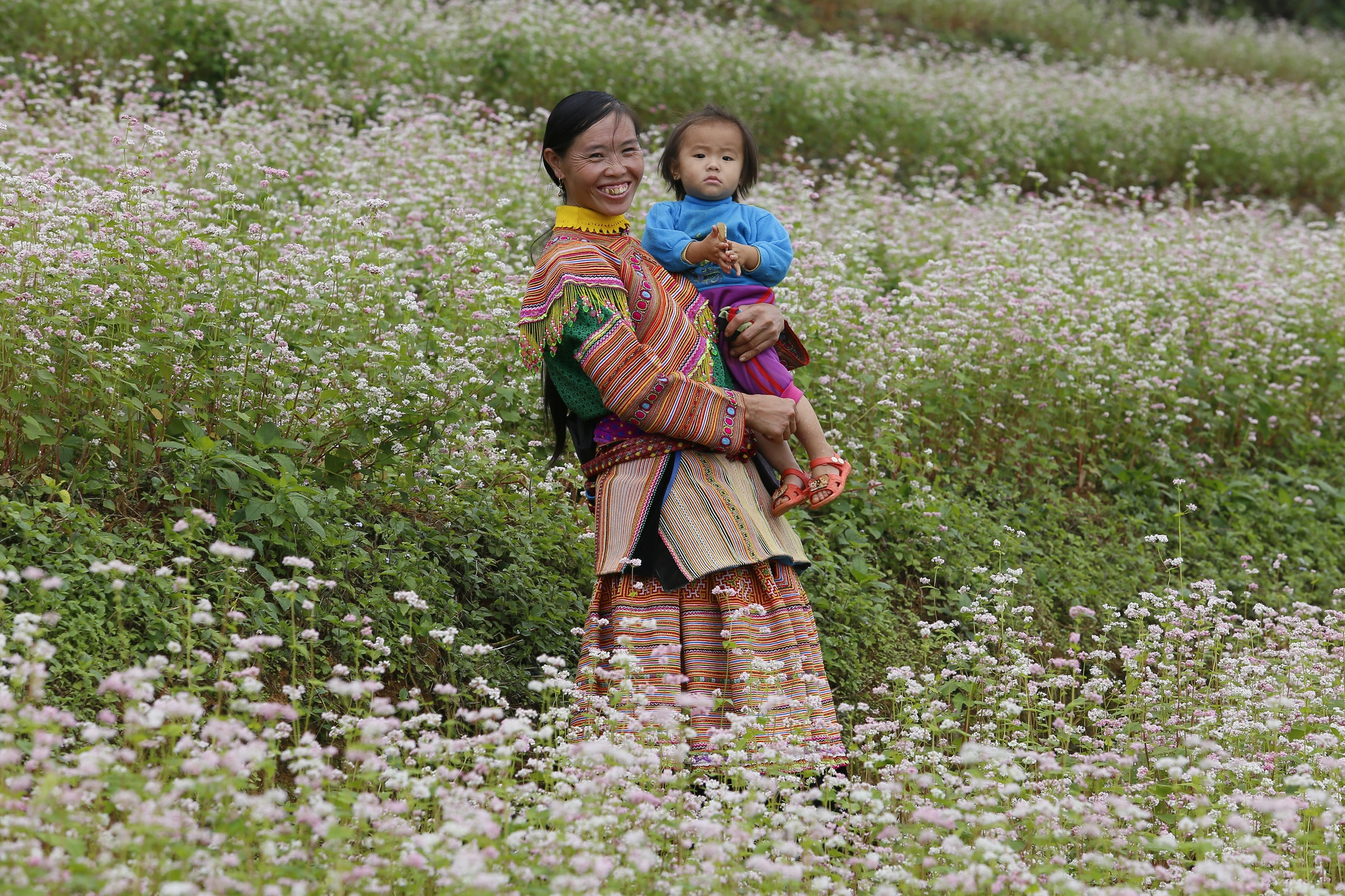 Sắc hồng mơ mộng của Tây Bắc- Ảnh 4. Sắc hồng mơ mộng của Tây Bắc- Ảnh 4.