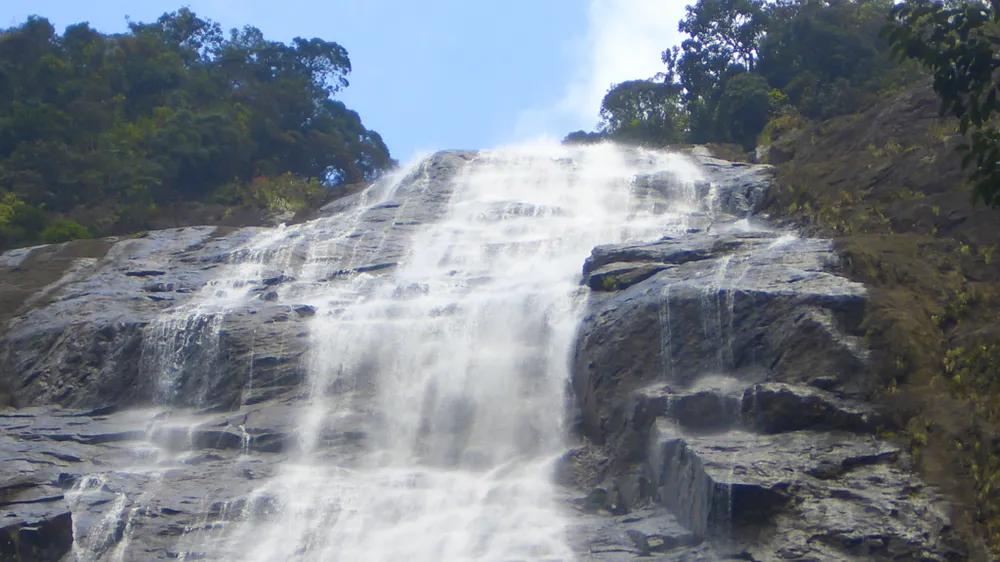 muc-so-thi-kho-bau-xanh-giup-vuon-quoc-gia-bach-ma-thanh-di-san-asean (9).jpg