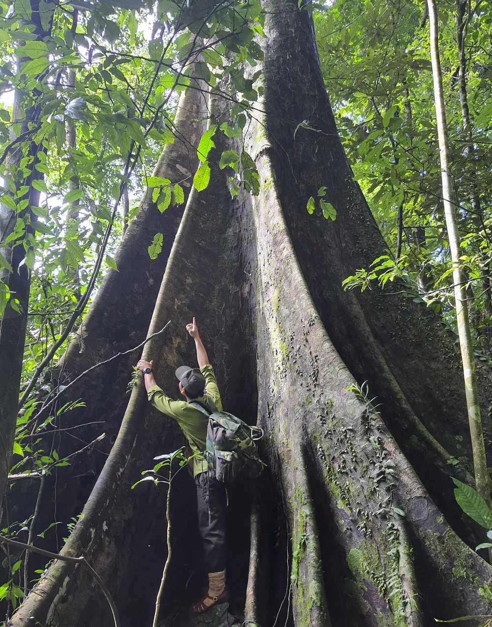 muc-so-thi-kho-bau-xanh-giup-vuon-quoc-gia-bach-ma-thanh-di-san-asean (3).jpg