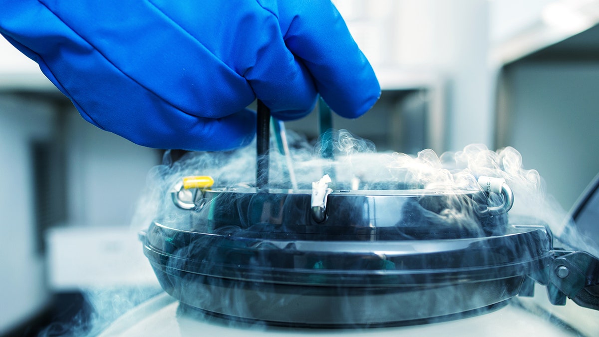 Chấn động: Người hiến tinh trùng mang gene gây ung thư làm cha của gần 200 đứa trẻ, có em mắc đến 2 loại ung thư hoặc tử vong- Ảnh 2. Chấn động: Người hiến tinh trùng mang gene gây ung thư làm cha của gần 200 đứa trẻ, có em mắc đến 2 loại ung thư hoặc tử vong- Ảnh 2.