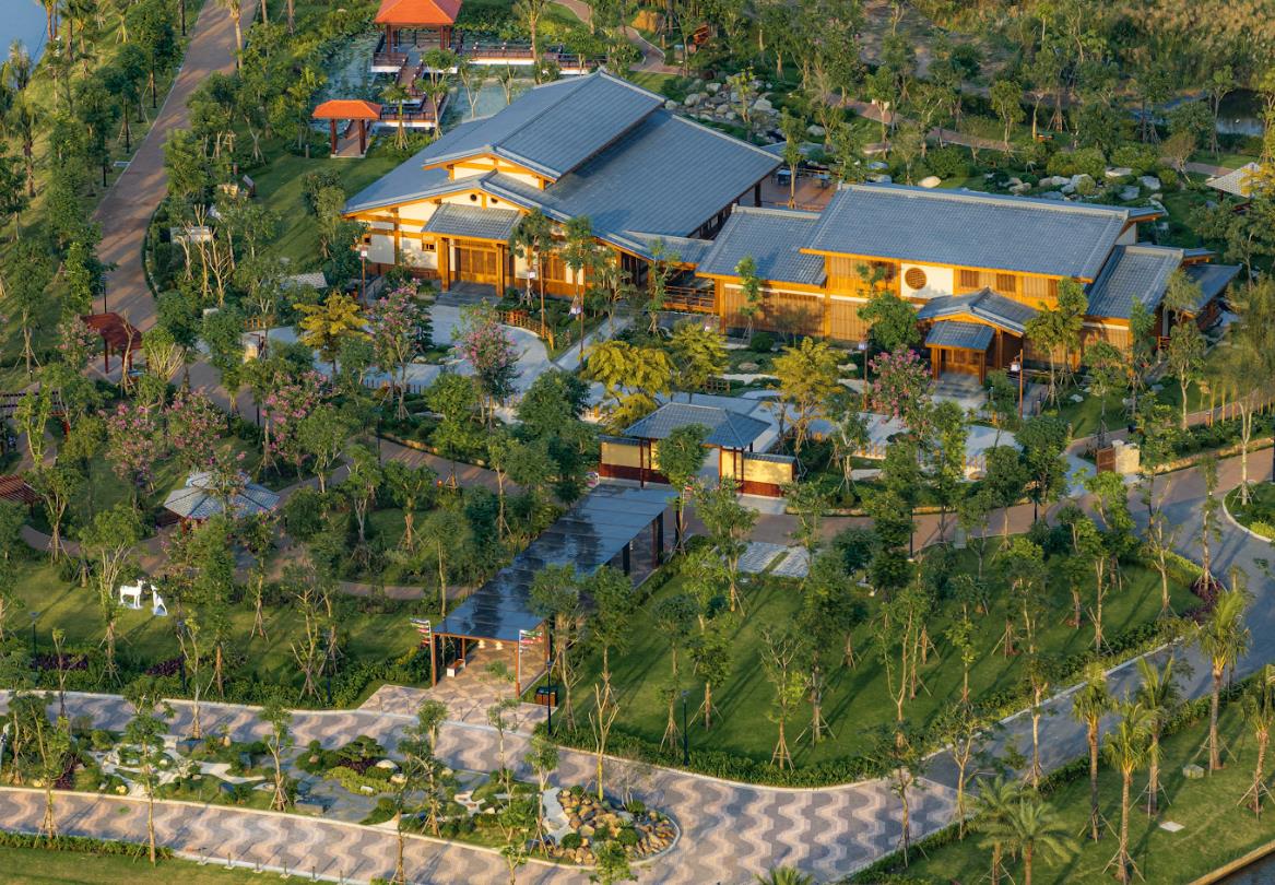 kiều bào - Ảnh 4.