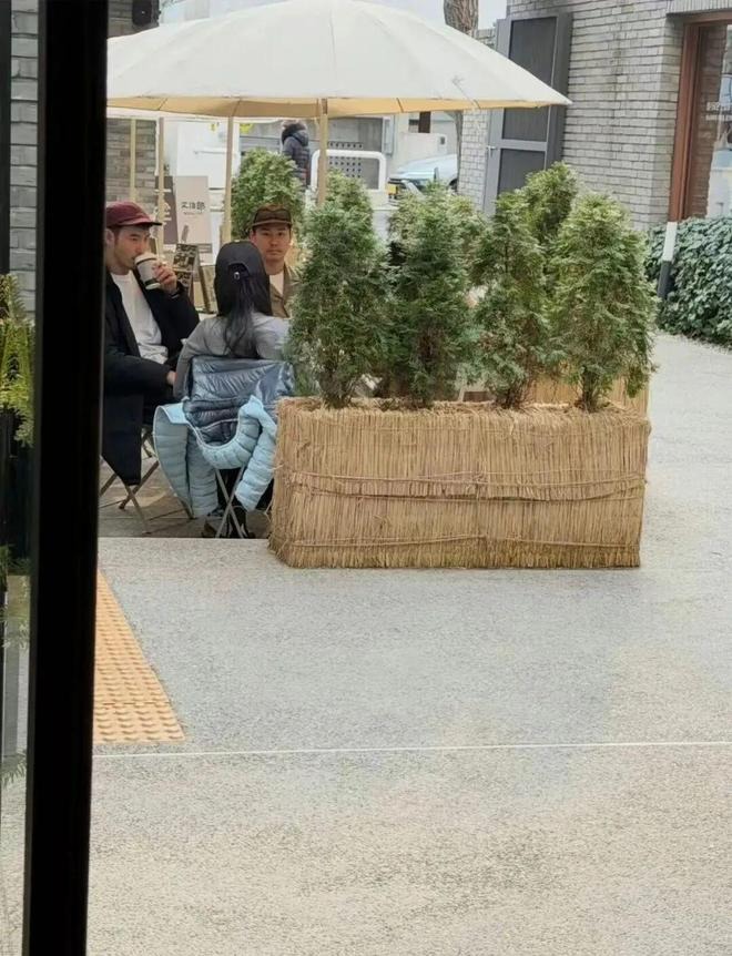 Tóm dính Tóm dính