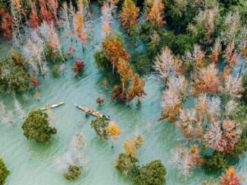 Rừng phong thay lá đẹp ngây người như trời Tây giữa lòng Quảng Trị, ai đến cũng ngỡ ngàng vì quá đẹp!