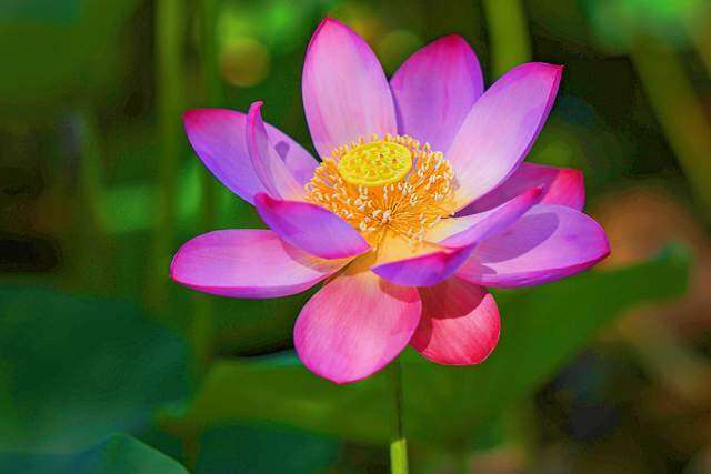 Người nói "không" với 3 việc này khi dự tiệc thường không đơn giản, rất tỉnh táo 2 Người nói amp;#34;khôngamp;#34; với 3 việc này khi dự tiệc thường không đơn giản, rất tỉnh táo - 2