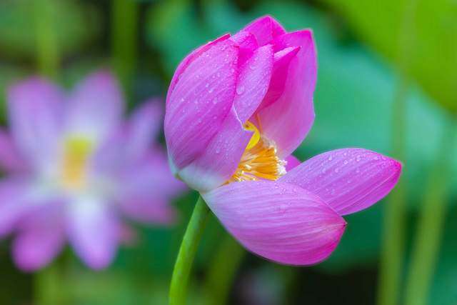 Người nói "không" với 3 việc này khi dự tiệc thường không đơn giản, rất tỉnh táo 3 Người nói amp;#34;khôngamp;#34; với 3 việc này khi dự tiệc thường không đơn giản, rất tỉnh táo - 3