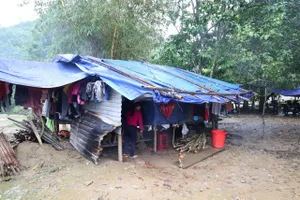 Dân mất nhà do sạt lở và cách làm 'bạo' của TP Đà Nẵng