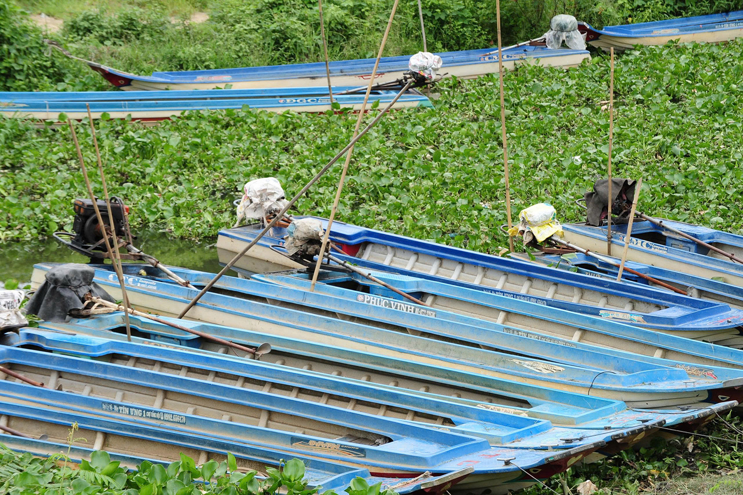 Phiên chợ độc lạ ở An Giang buôn bán amp;#34;thứ bỏ điamp;#34;, nuôi sống bao phận người - 2