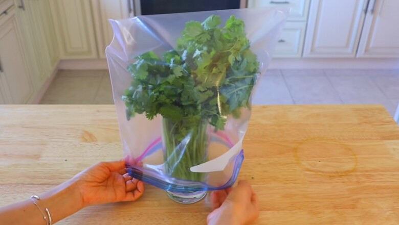 Mua nhiều rau mùi, đừng cho ngay vào tủ lạnh, thêm vài bước nữa để lâu vẫn tươi ngon tiết kiệm được cả đống tiền 4 Mua nhiều rau mùi, đừng cho ngay vào tủ lạnh, thêm vài bước nữa để lâu vẫn tươi ngon tiết kiệm được cả đống tiền - 4