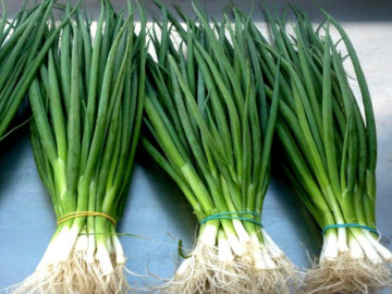 Mua nhiều rau mùi, đừng cho ngay vào tủ lạnh, thêm vài bước nữa để lâu vẫn tươi ngon tiết kiệm được cả đống tiền 5 Hành lá mua về nhanh hỏng, ngâm trong nước này để vài tháng vẫn xanh tươi, vị ngon như mới hái