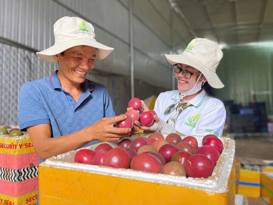 Xuất khẩu chanh leo vượt 200 triệu USD, Tây Nguyên dẫn đầu 2 Xuất khẩu chanh leo vượt 200 triệu USD, Tây Nguyên dẫn đầu - Ảnh 3.