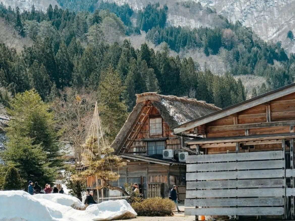 5 hành trình săn tuyết được khách Việt yêu thích- Ảnh 4.