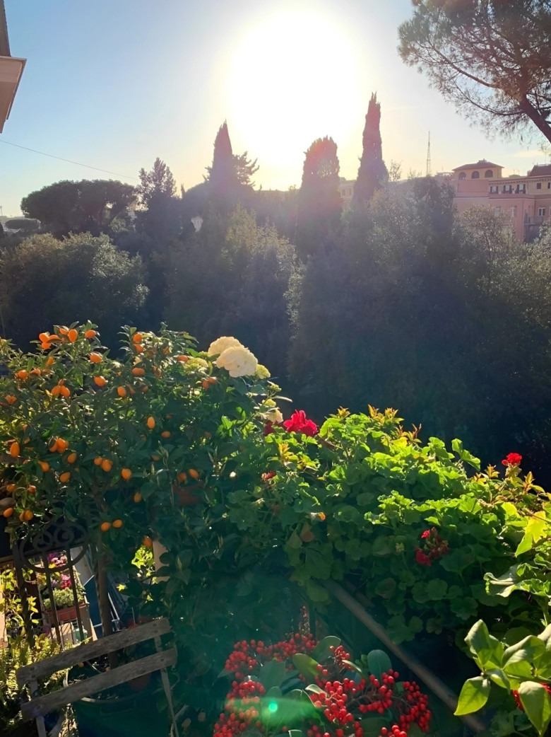 "Hoa hậu giàu nhất Việt Nam" lấy chồng giáo sư tiến sĩ, không đăng ký kết hôn, bất động sản trải dài 3 châu lục 17 1765587967 36 Hoa hau giau nhat Viet Nam lay chong giao su