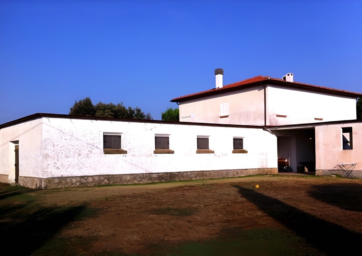 "Hoa hậu giàu nhất Việt Nam" lấy chồng giáo sư tiến sĩ, không đăng ký kết hôn, bất động sản trải dài 3 châu lục 18 1765587968 920 Hoa hau giau nhat Viet Nam lay chong giao su