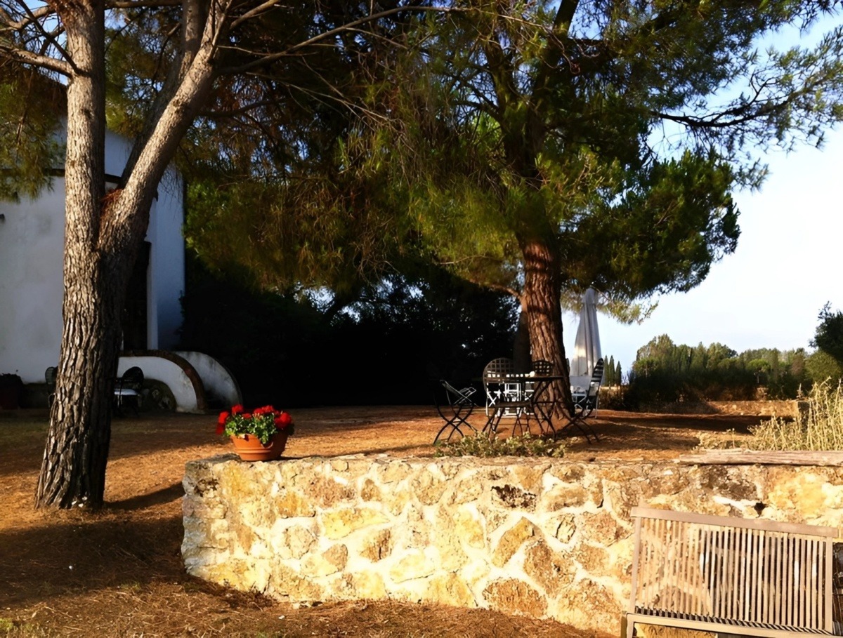 "Hoa hậu giàu nhất Việt Nam" lấy chồng giáo sư tiến sĩ, không đăng ký kết hôn, bất động sản trải dài 3 châu lục 20 1765587970 24 Hoa hau giau nhat Viet Nam lay chong giao su