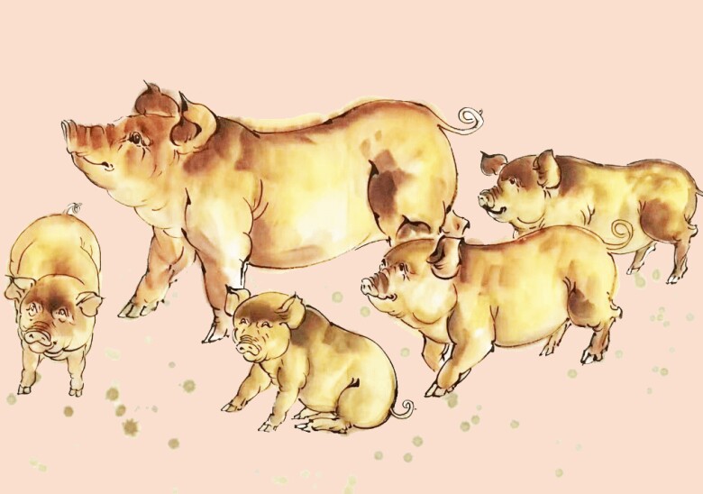 4 con giáp đích thị đại gia nhưng rất giỏi than nghèo kể khổ 4 4 con giáp đích thị đại gia nhưng rất giỏi than nghèo kể khổ - 4