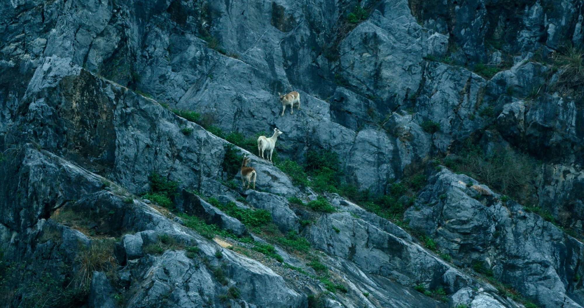 Chân Trời Rực Rỡ: Cách nhìn lại những đứt gãy của lịch sử và hỏi con người về niềm tin cuối cùng - mình thuộc về đâu?- Ảnh 6. Chân Trời Rực Rỡ: Cách nhìn lại những đứt gãy của lịch sử và hỏi con người về niềm tin cuối cùng - mình thuộc về đâu?- Ảnh 6.