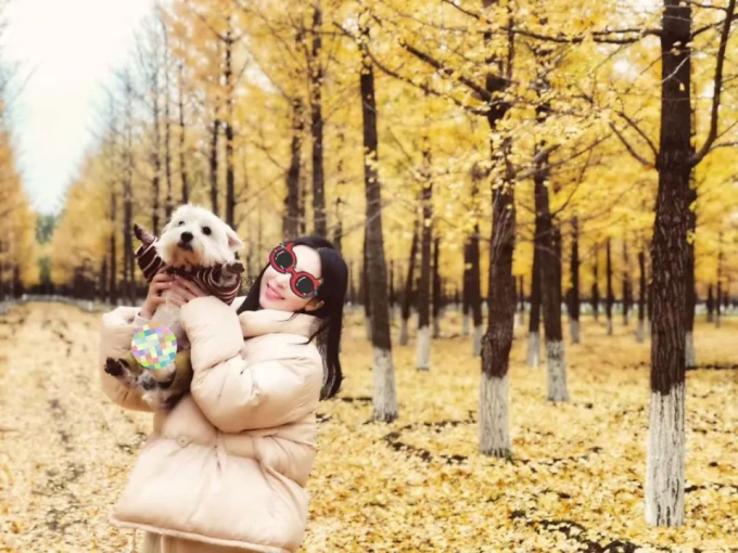 Chủ của Papi bỏ việc, dành ba năm theo đuổi vụ kiện để báo thù cho chó cưng. Ảnh: Xiaohongshu