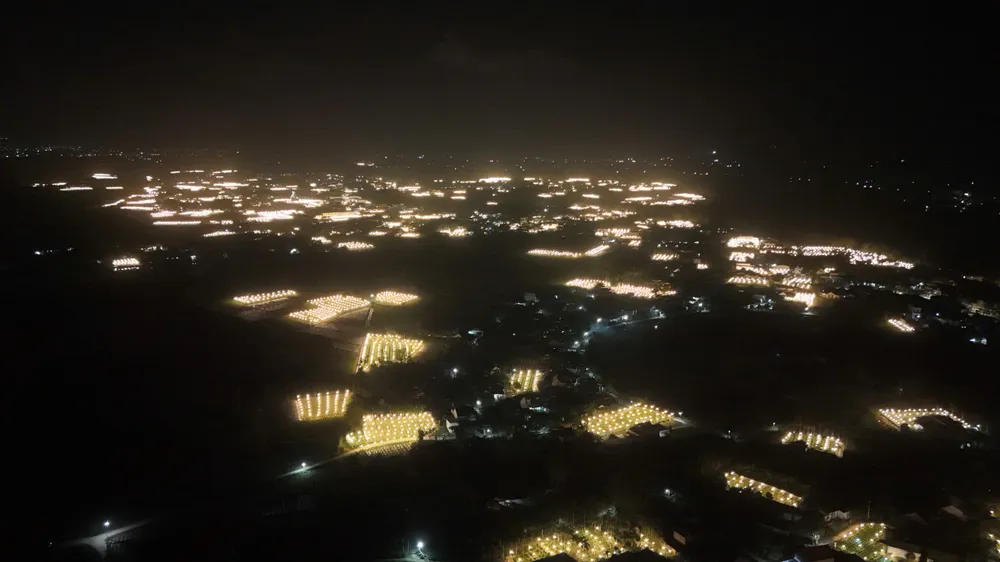 trieu-anh-den-lung-linh-lang-hoa-cuc-tet- (17).jpg