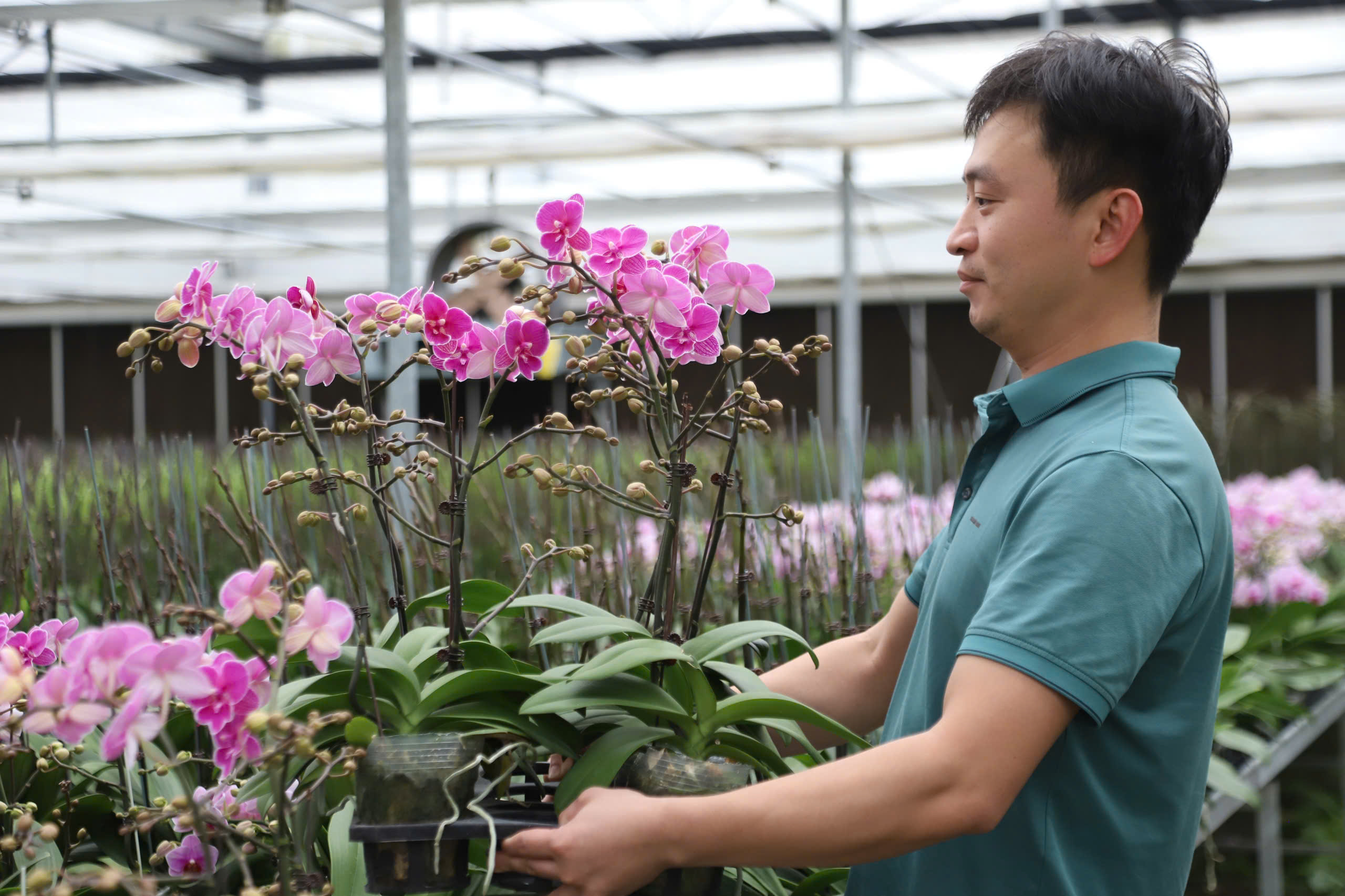 Người dân vùng ven biển Hà Tĩnh giảm nghèo bền vững 4 Học nghề ven biển ở Hà Tĩnh: Từ mô hình trồng lan trên vùng cát trắng tới nâng cao nghề truyền thống - Ảnh 4.