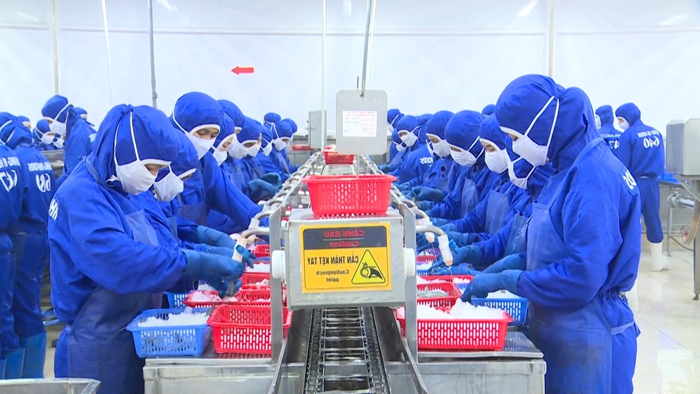 Ngành thủy sản tỷ USD: Người khổng lồ hụt hơi trên đường đua xanh? - 2