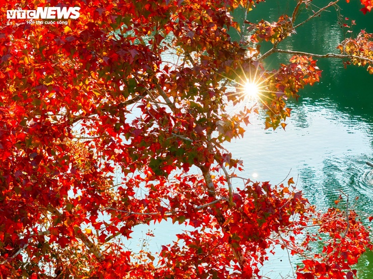 Hồ nhân tạo ở Cao Bằng rực rỡ như trời Âu mùa phong hương thay lá 6 Hồ nhân tạo ở Cao Bằng rực rỡ như trời Âu mùa phong hương thay lá - 5