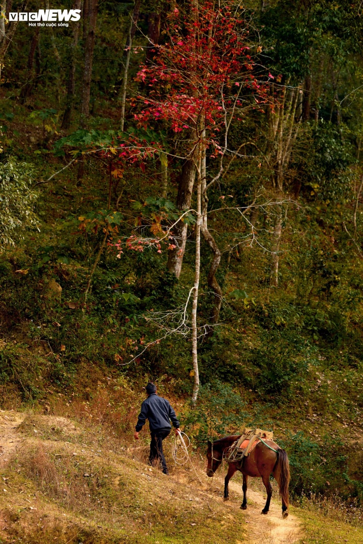 Hồ nhân tạo ở Cao Bằng rực rỡ như trời Âu mùa phong hương thay lá 9 Hồ nhân tạo ở Cao Bằng rực rỡ như trời Âu mùa phong hương thay lá - 8