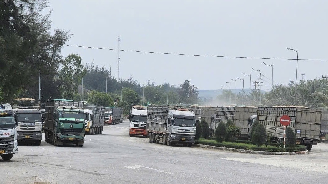 Quảng Ngãi chuẩn bị khởi công 3 dự án lớn chào mừng Đại hội Đảng 2 Quảng Ngãi chuẩn bị khởi công 3 dự án lớn chào mừng Đại hội Đảng - Ảnh 2.