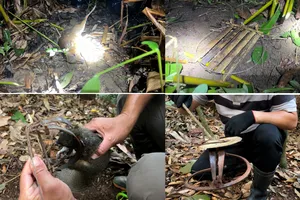 Con cheo cheo và con sóc bị dính các loại bẫy của thợ săn. Ảnh trong bài: MINH HẬU – NGUYỄN TIẾN