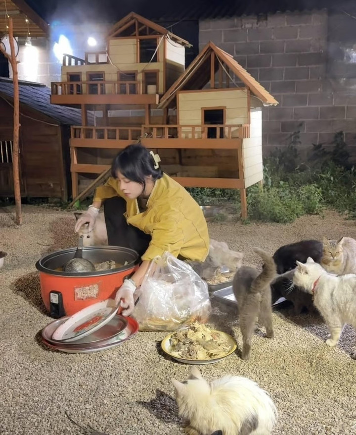 1765647381 944 Cau chuyen cam dong ve co gai xin do an