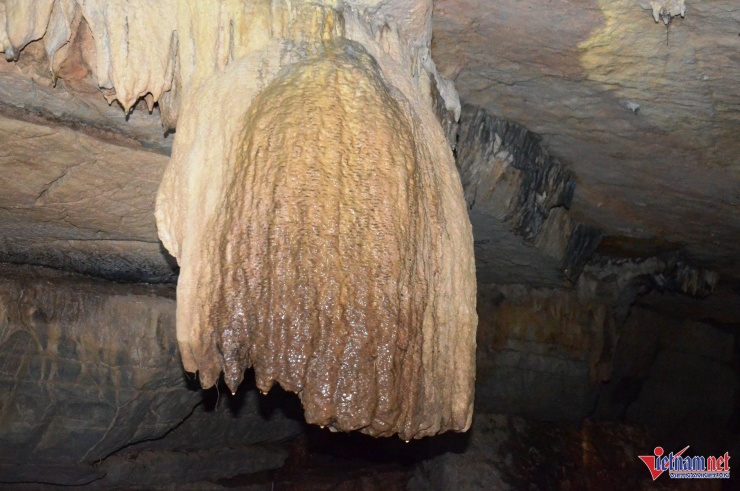 Khám phá hang động có nhũ đá hình tượng Phật ngồi thiền ở Ninh Bình 7 Nhũ đá hình như bông hoa tuy-líp