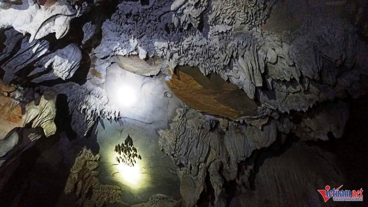 Khám phá hang động có nhũ đá hình tượng Phật ngồi thiền ở Ninh Bình 9 Có rất nhiều dơi sinh sống trên vách, trần của hang
