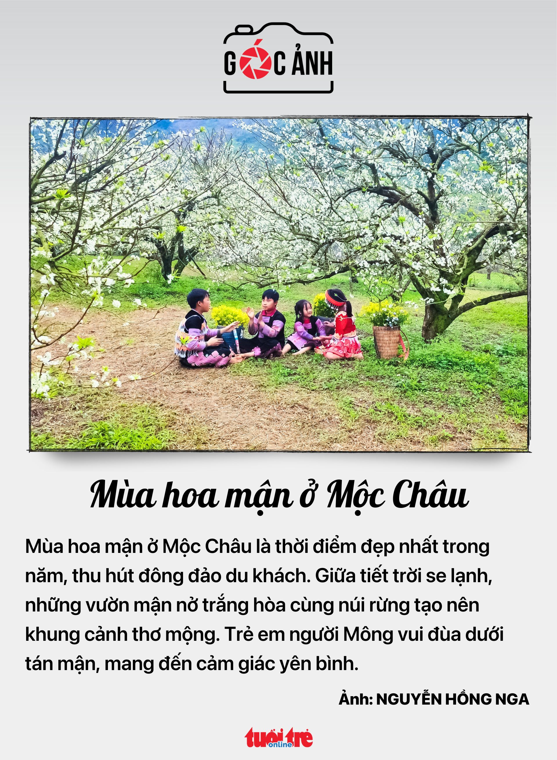 Tin tức sáng 14-12: Cán bộ yêu cầu người dân nộp thêm giấy tờ đã có dữ liệu sẽ bị xử lý 6 nộp thêm giấy tờ - Ảnh 6.