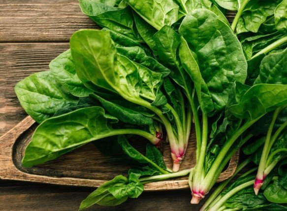 6 loại rau rẻ tiền, mùa đông người Việt nên ăn để ngăn ngừa tế bào ung thư 4 Ảnh minh họa.