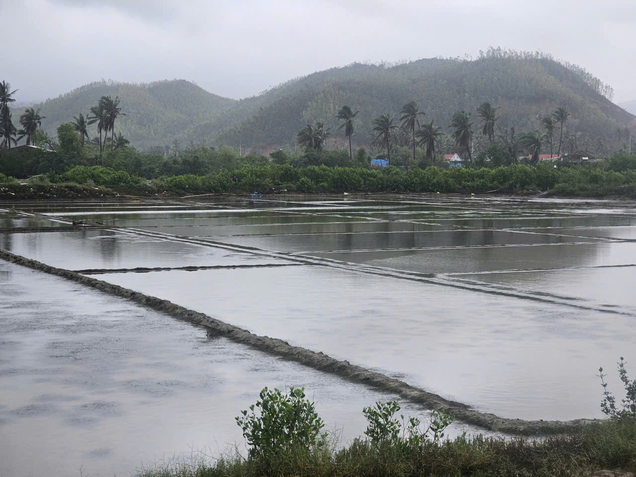 Gian nan nghề muối sau bão lũ - Ảnh 3. Gian nan nghề muối sau bão lũ - Ảnh 3.