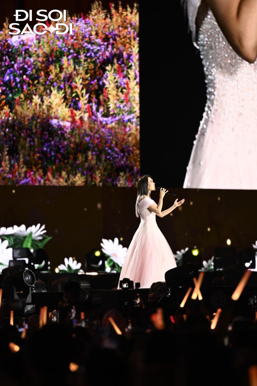 Mỹ Tâm tìm Mai Tài Phến giữa biển 40 nghìn người- Ảnh 8.