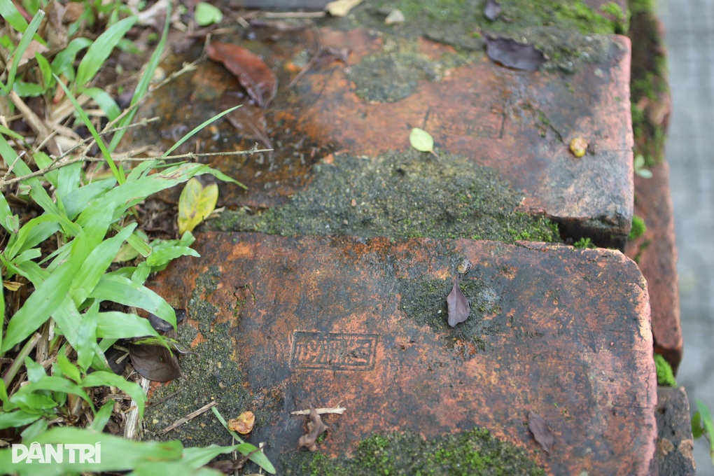 Dấu tích giáo trình sống hiếm hoi còn lại trong khuôn viên trường học - 3