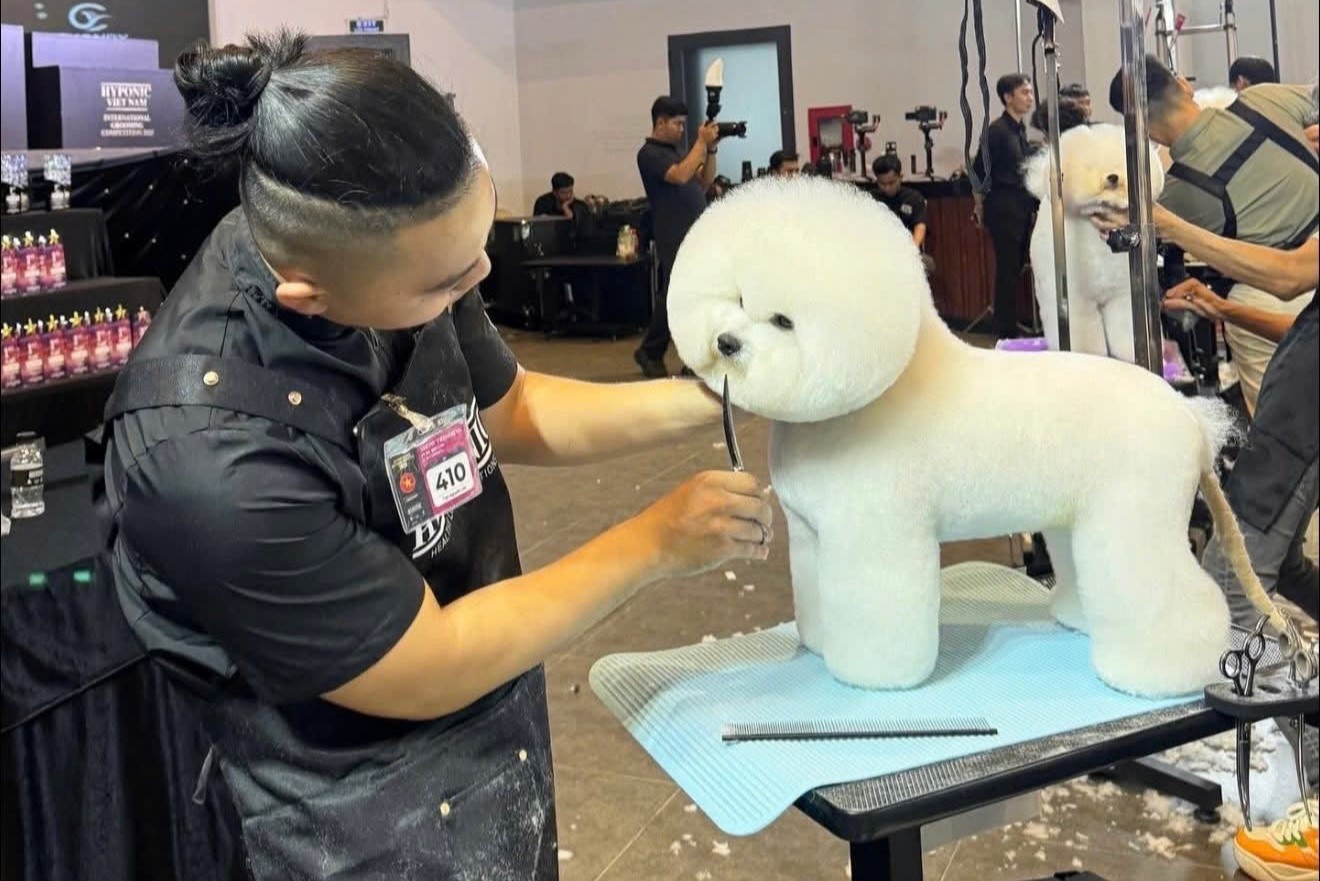 Nghề làm đẹp thú cưng: Người nghệ sĩ giữa dàn hợp xướng Bichon- Ảnh 2. Nghề làm đẹp thú cưng: Người nghệ sĩ giữa dàn hợp xướng Bichon- Ảnh 2.