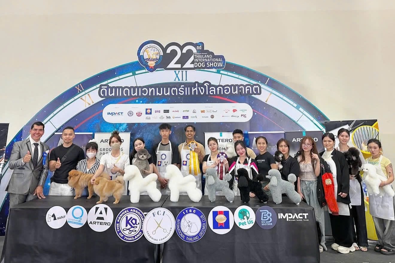 Nghề làm đẹp thú cưng: Người nghệ sĩ giữa dàn hợp xướng Bichon- Ảnh 3. Nghề làm đẹp thú cưng: Người nghệ sĩ giữa dàn hợp xướng Bichon- Ảnh 3.