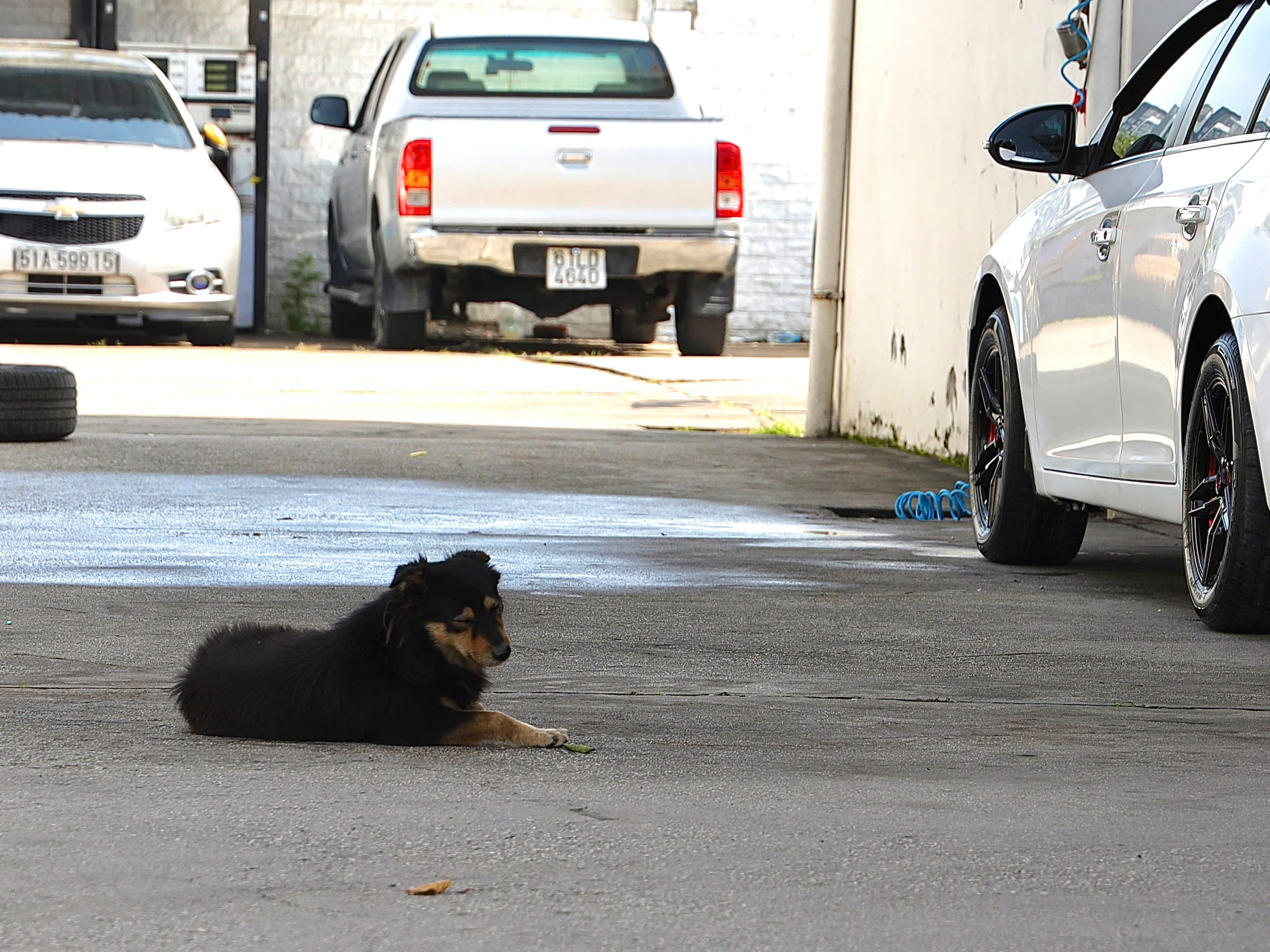 - Ảnh 2. - Ảnh 2.