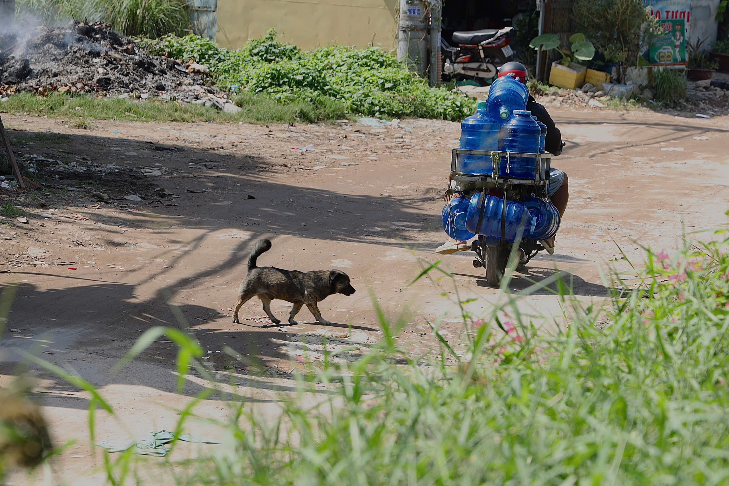 - Ảnh 3. - Ảnh 3.