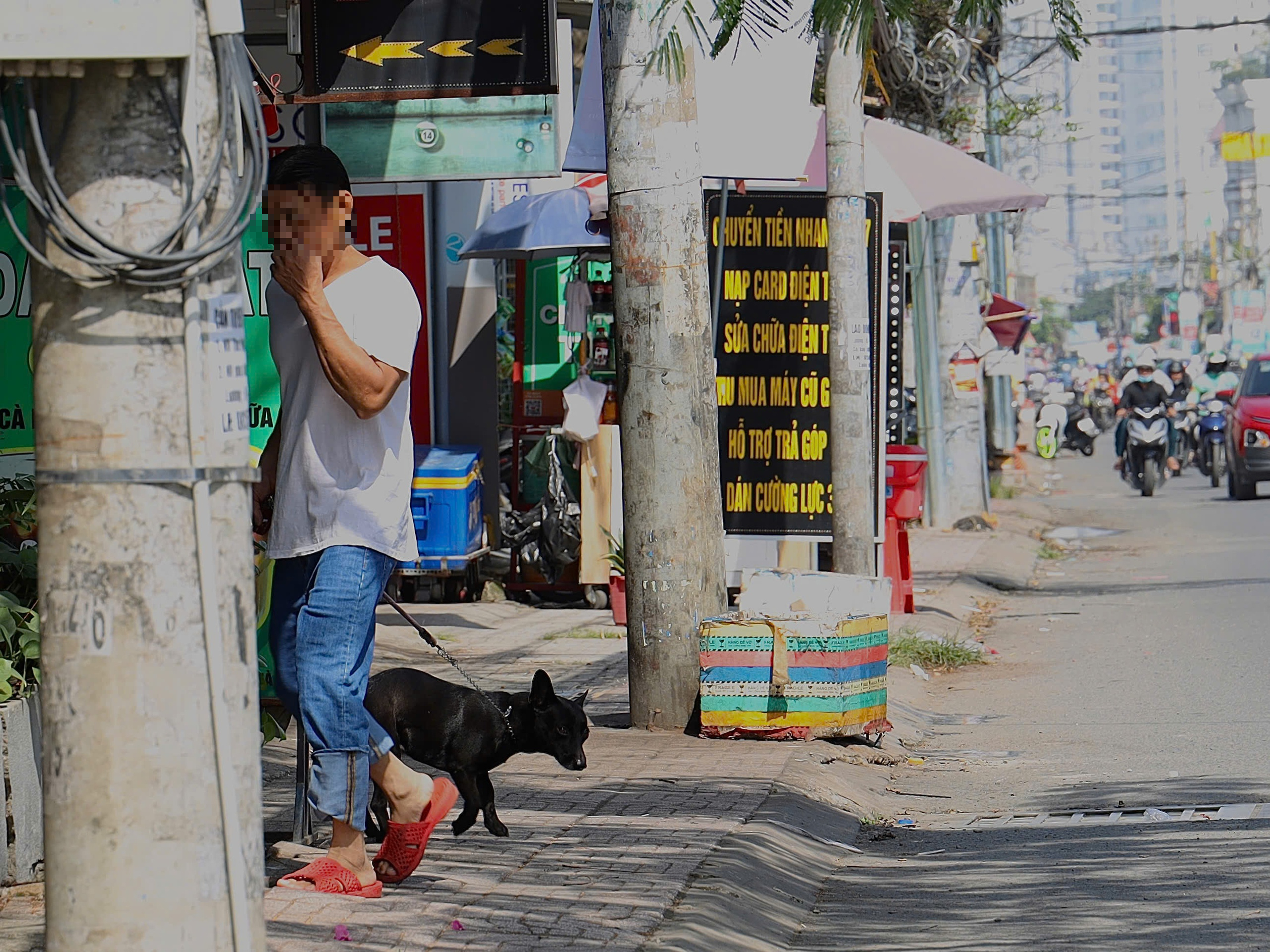 Chó không rọ mõm, thả rông trên đường phố TPHCM trước thời điểm siết chặt quản lý 1 Chó không rọ mõm, thả rông trên đường phố TPHCM trước thời điểm siết chặt quản lý - Ảnh 1.