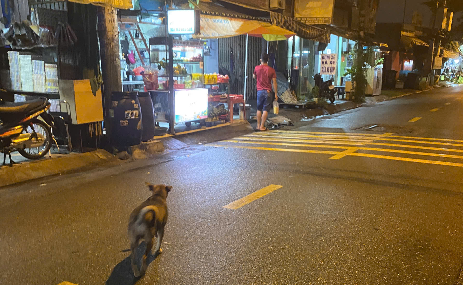 - Ảnh 9. - Ảnh 9.