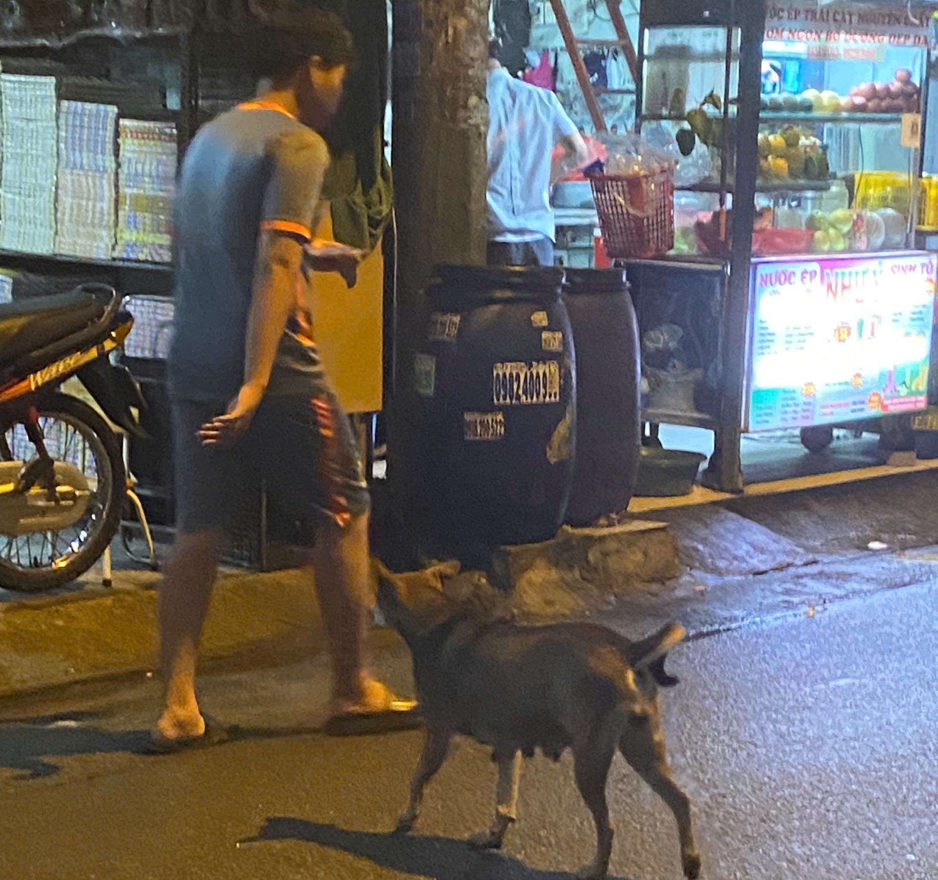 - Ảnh 10. - Ảnh 10.