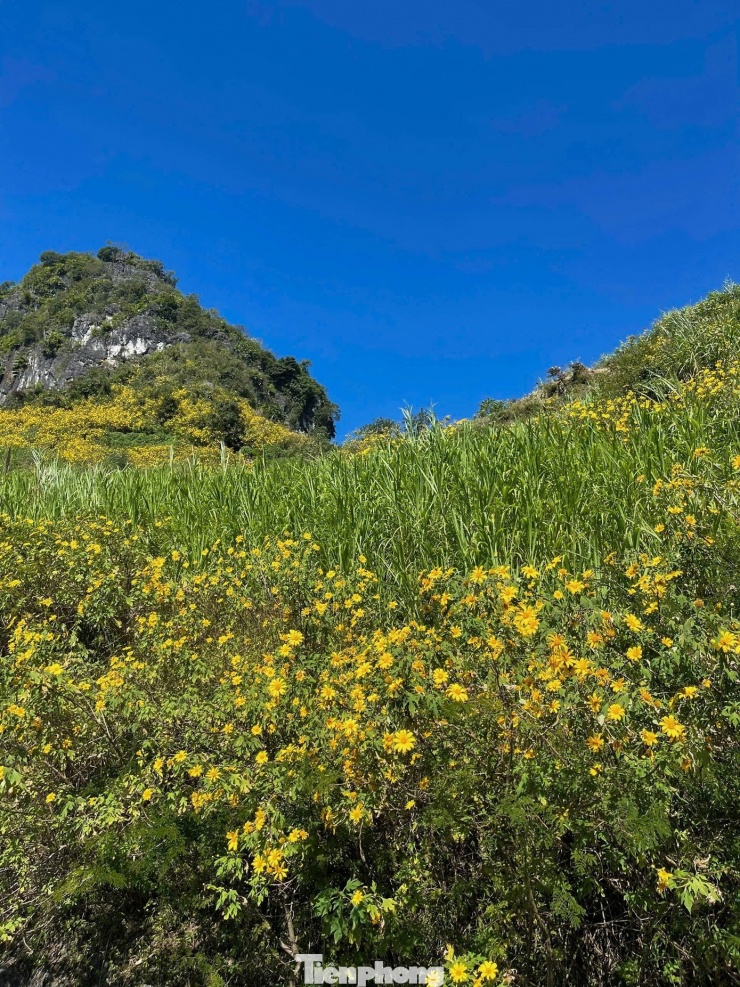 Tới Cao Bằng mùa này, du khách thốt lên: 'Đứng góc nào cũng có ảnh đẹp' - 3