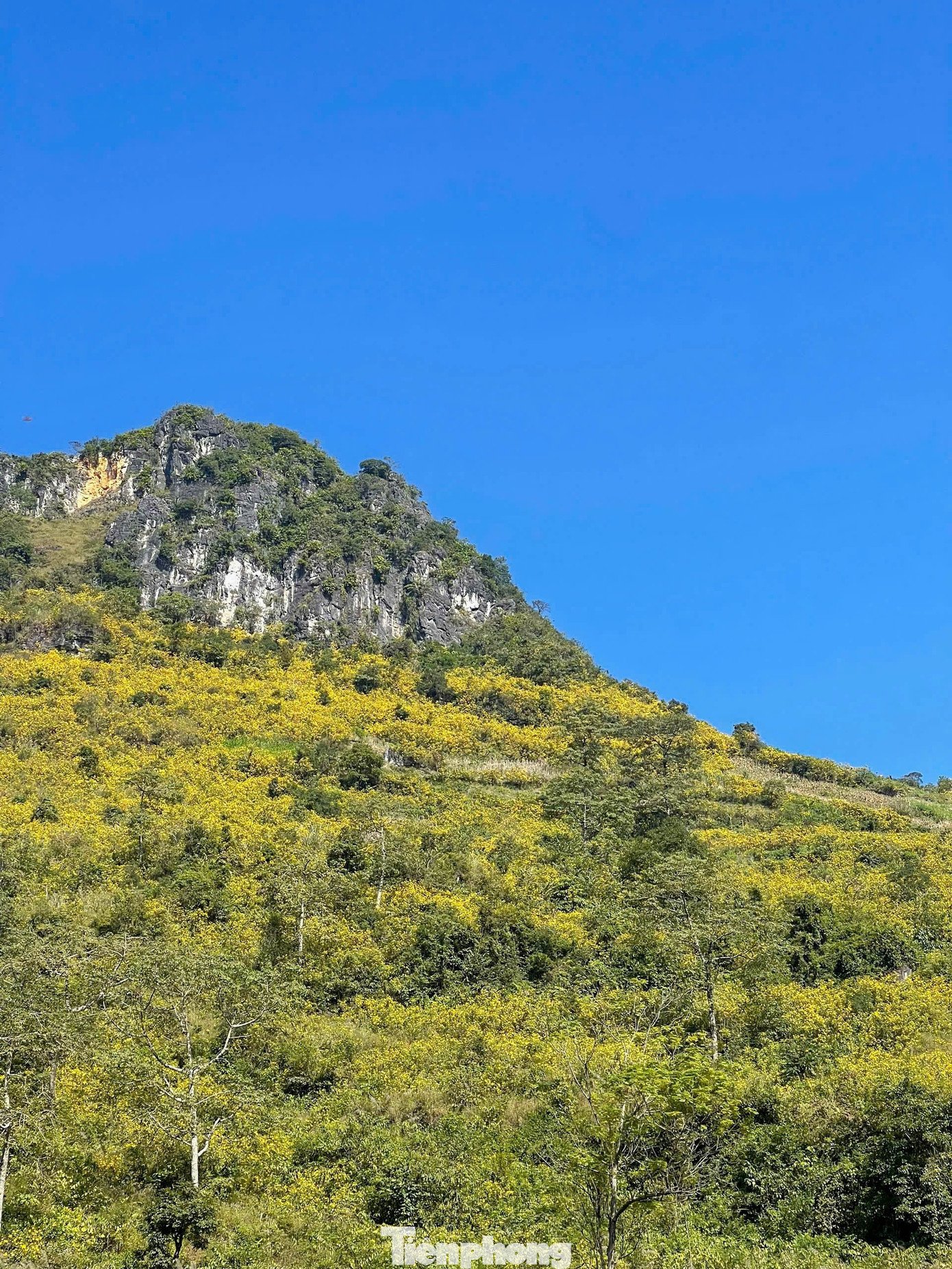 Tới Cao Bằng mùa này, du khách thốt lên: 'Đứng góc nào cũng có ảnh đẹp' - 7