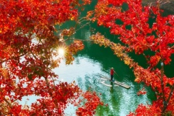 Hồ nhân tạo ở Cao Bằng rực rỡ như trời Âu mùa phong hương thay lá