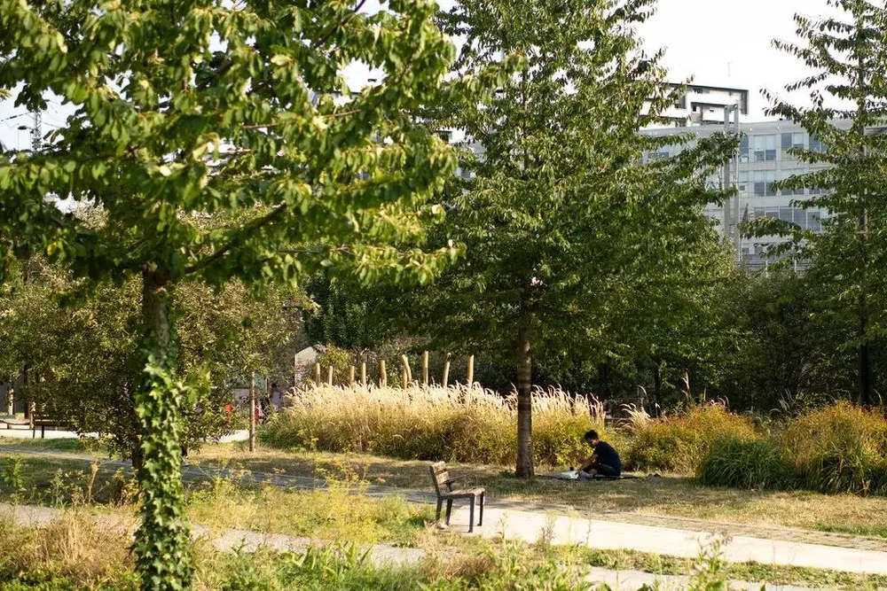 Người dân tìm chỗ bóng mát nghỉ ngơi giữa thời tiết nắng nóng ở Paris. Ảnh: THE NEW YORK TIMES a0951c1f28170c805c6ca5ab8e6b806325c63e8d.jpg