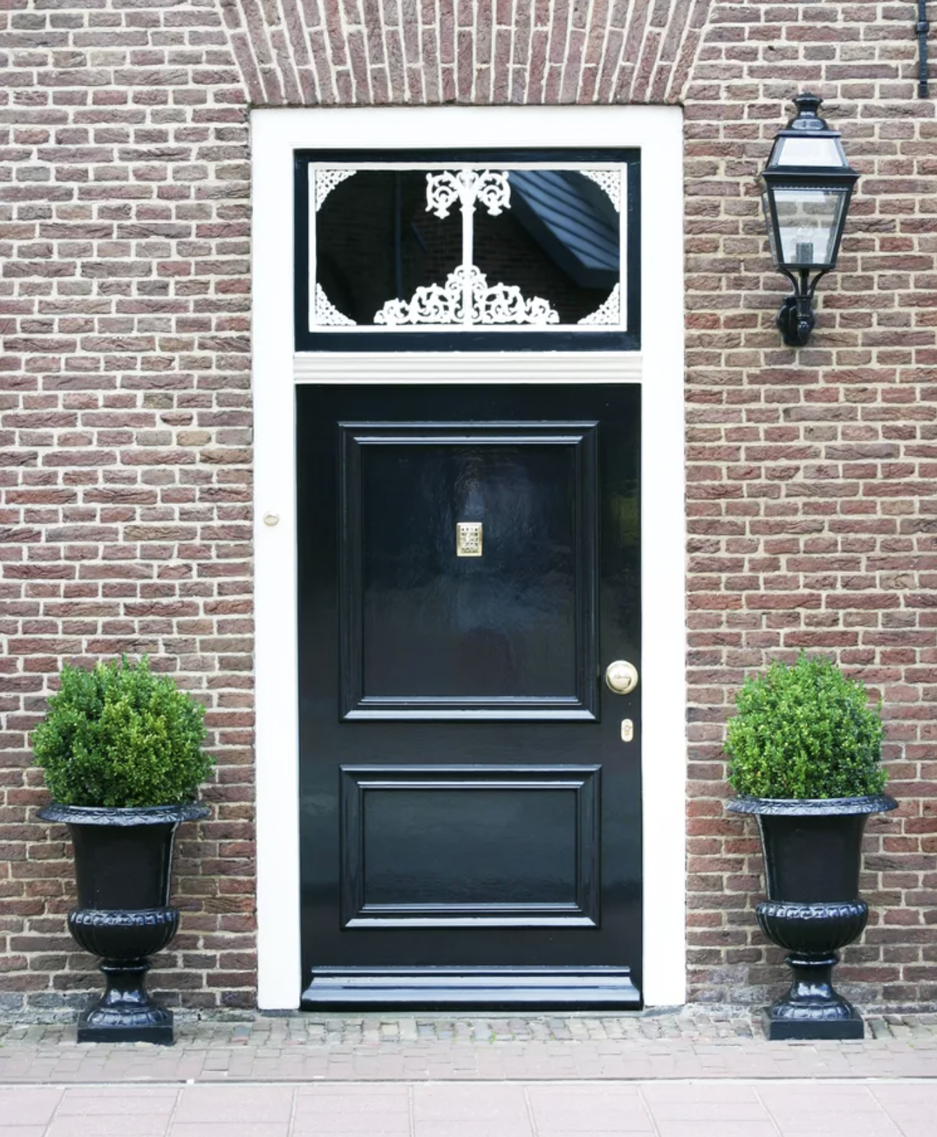 9 loại cây trồng trước nhà rất hợp: Số 5 người Việt biết tận dụng từ lâu- Ảnh 6. 9 loại cây trồng trước nhà rất hợp: Số 5 người Việt biết tận dụng từ lâu- Ảnh 6.